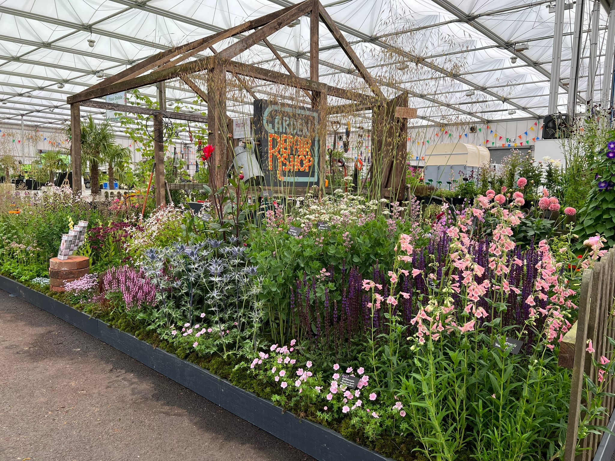 Best display of summer plants and a platinum award at bbc gardeners